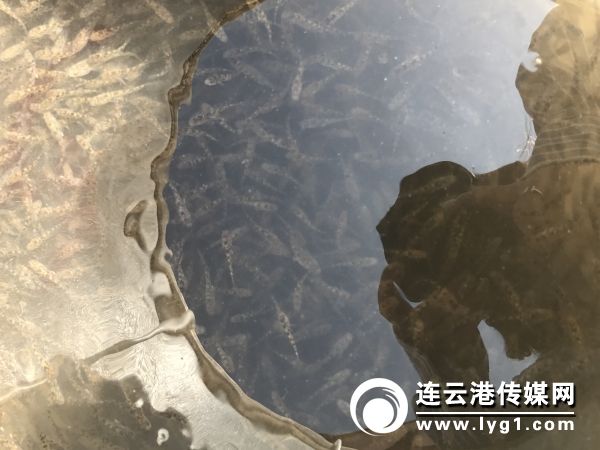 微信图片_20180606165800