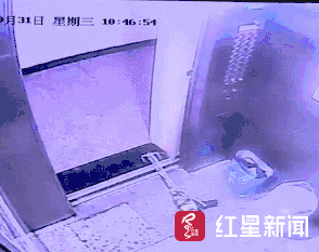 1542247753418403.gif