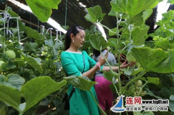 TIM截图20190718124704