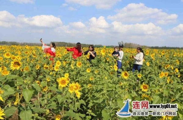 TIM截图20190718124859