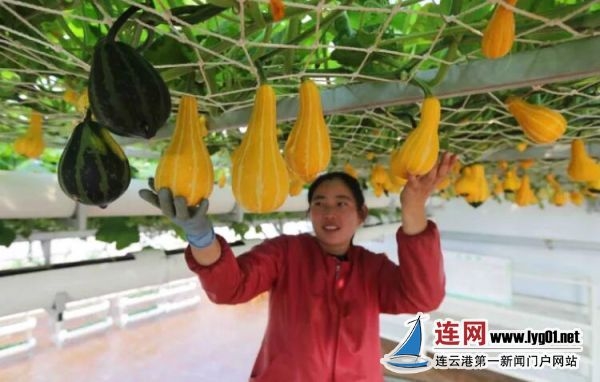 TIM截图20190718124932