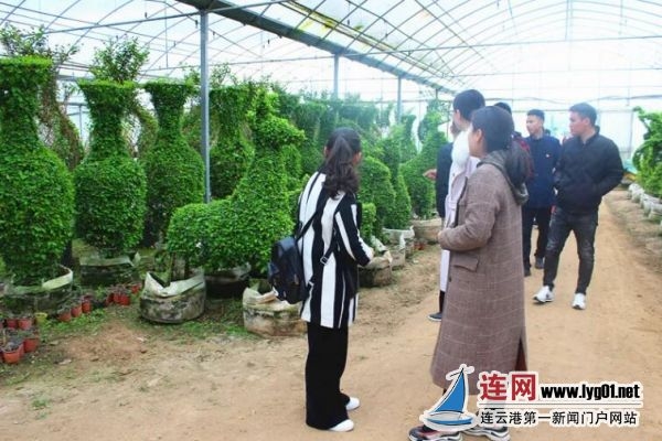 TIM截图20190718124716
