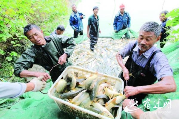 洪泽湖渔民丰收场景
