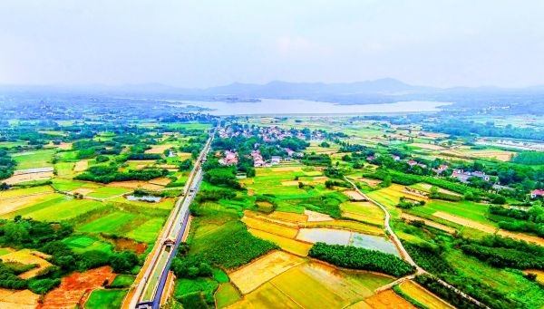 绿色西冯（王义华摄）