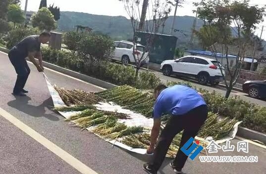 QQ截图20200106152503