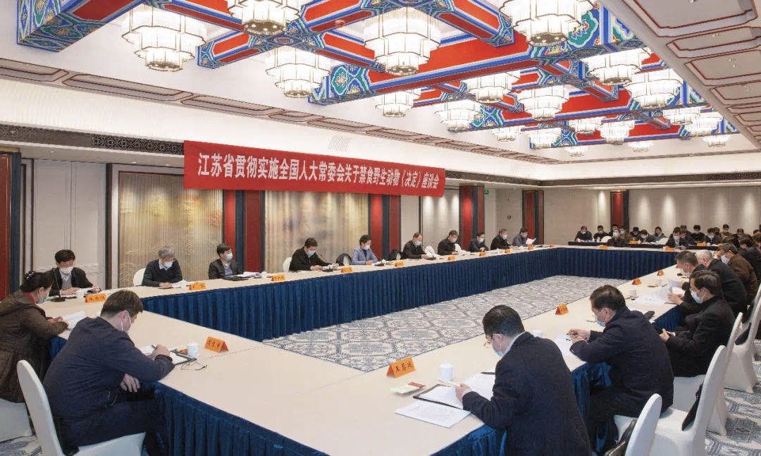 曹伟供图