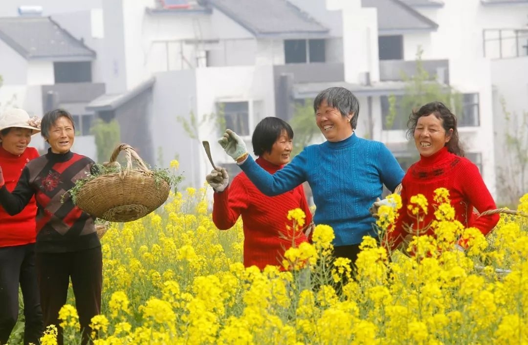金湖县吕良镇湖畔旺屯社区。图自淮安发布