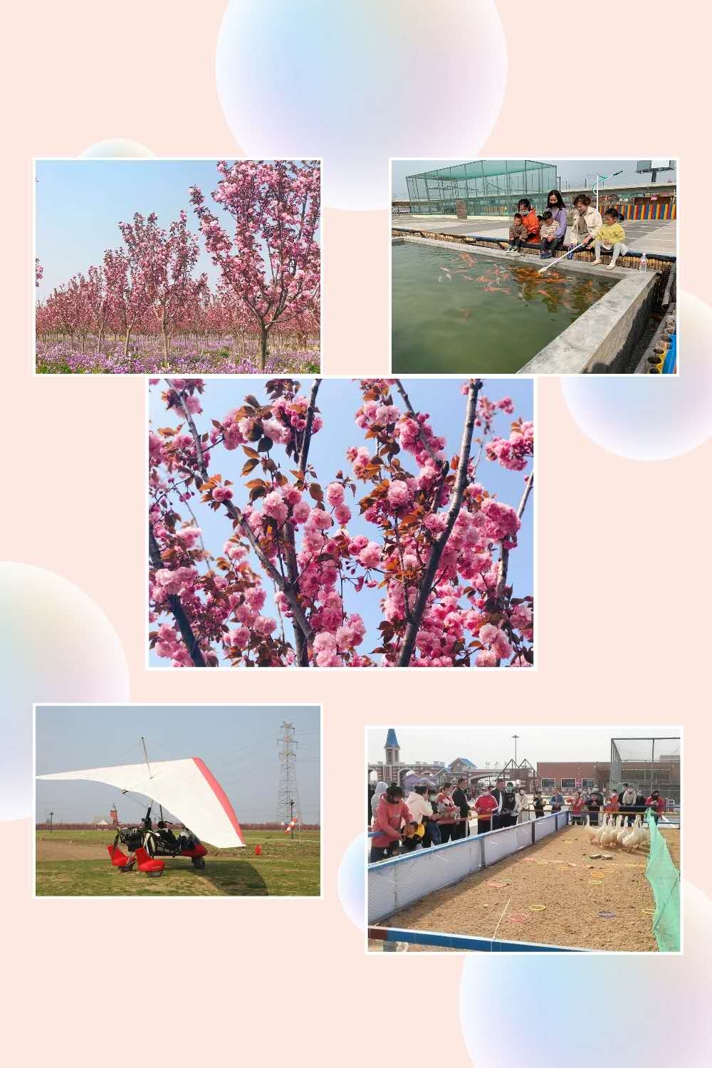伊甸园.jpg