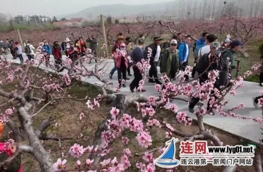 QQ截图20200511135811