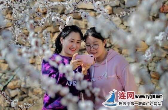 QQ截图20200511135733