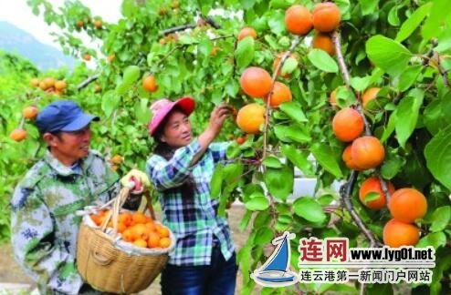 QQ截图20200511140543