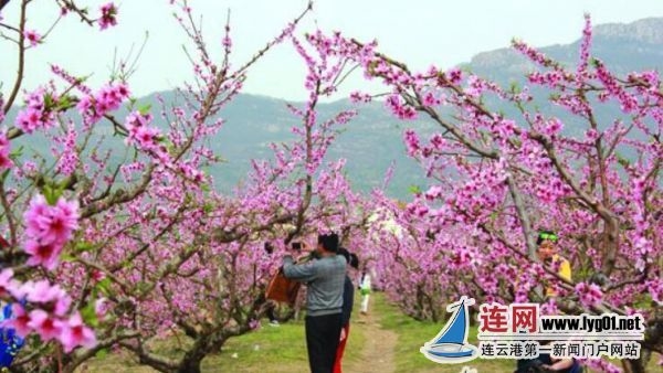 QQ截图20200511140513