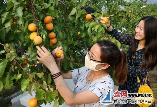 QQ截图20200511140649