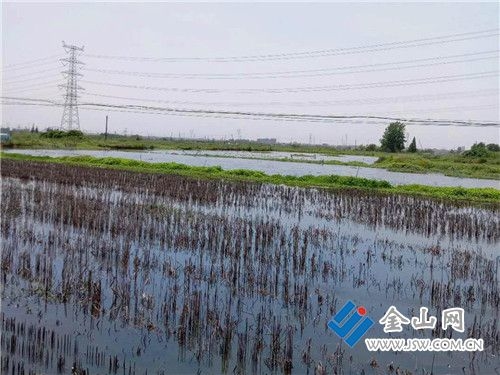 QQ截图20200520094121_副本