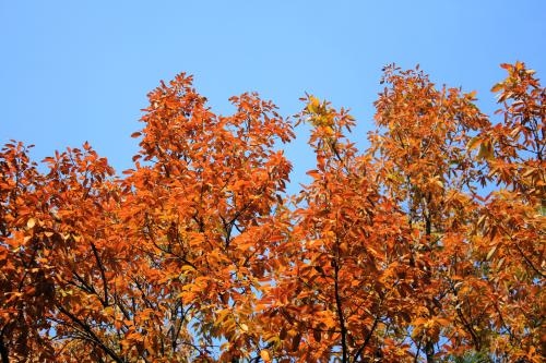 82f85e8493dcd4d01e5590e7363f4e2b.jpg