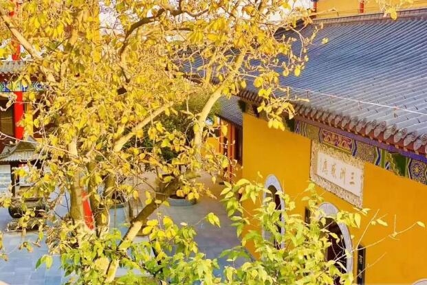 QQ截图20200927173524.jpg QQ截图20200927173524.jpg