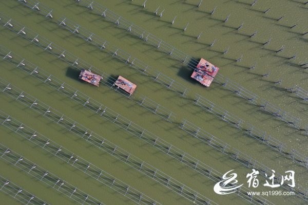 水上复工忙（报纸）(695340)-20200329105344