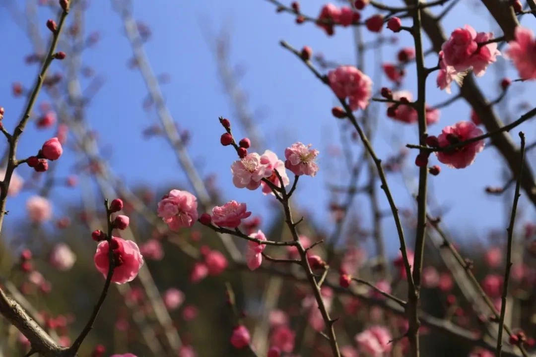 微信图片_20210213175323.jpg 微信图片_20210213175323.jpg