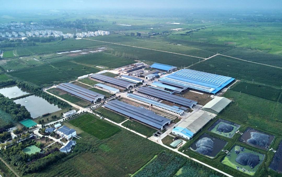 泗洪牧场全景