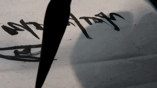 IMG_7389.GIF