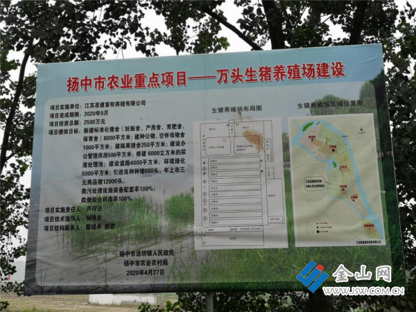 图片4