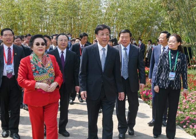 领导同志和中外嘉宾参观园艺博览会国际竹藤组织园。