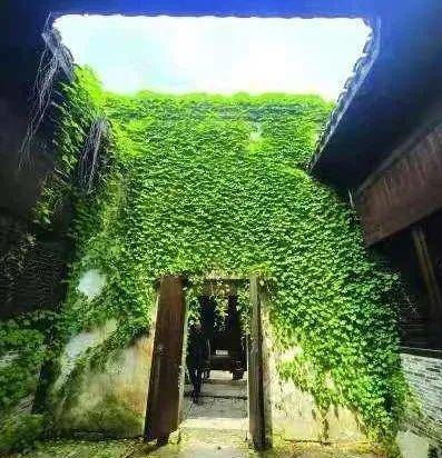 江南孔氏祠堂内景。南报融媒体记者 王丽华摄