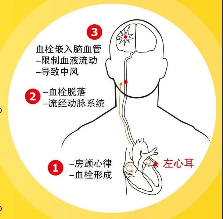 微信图片_20210730091114.jpg
