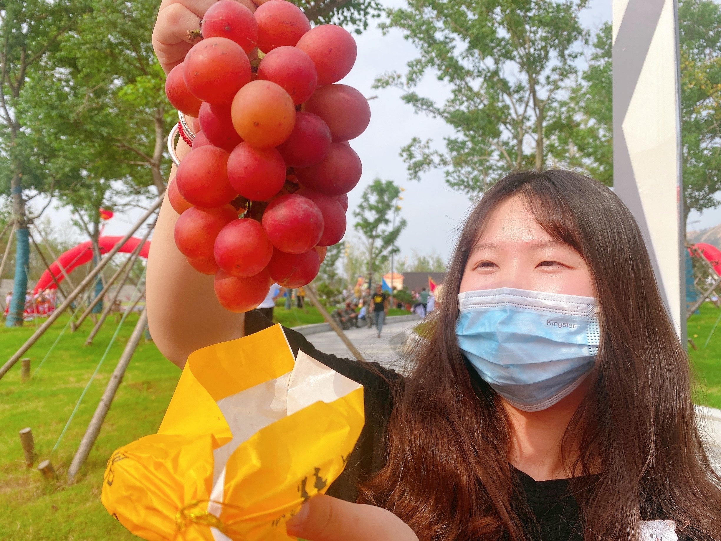 鲜艳剔透的锦屏葡萄吸引市民前来采摘