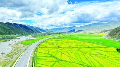 让壮美信念在雪域高原熠熠生辉——“两路”精神述评