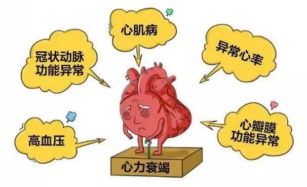 微信图片_20211126085310.jpg