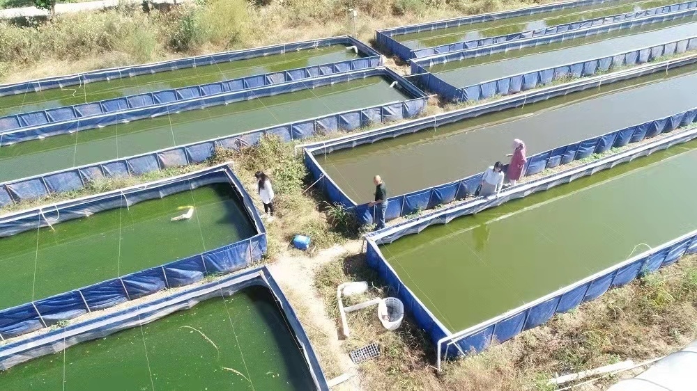 水蛭养殖基地