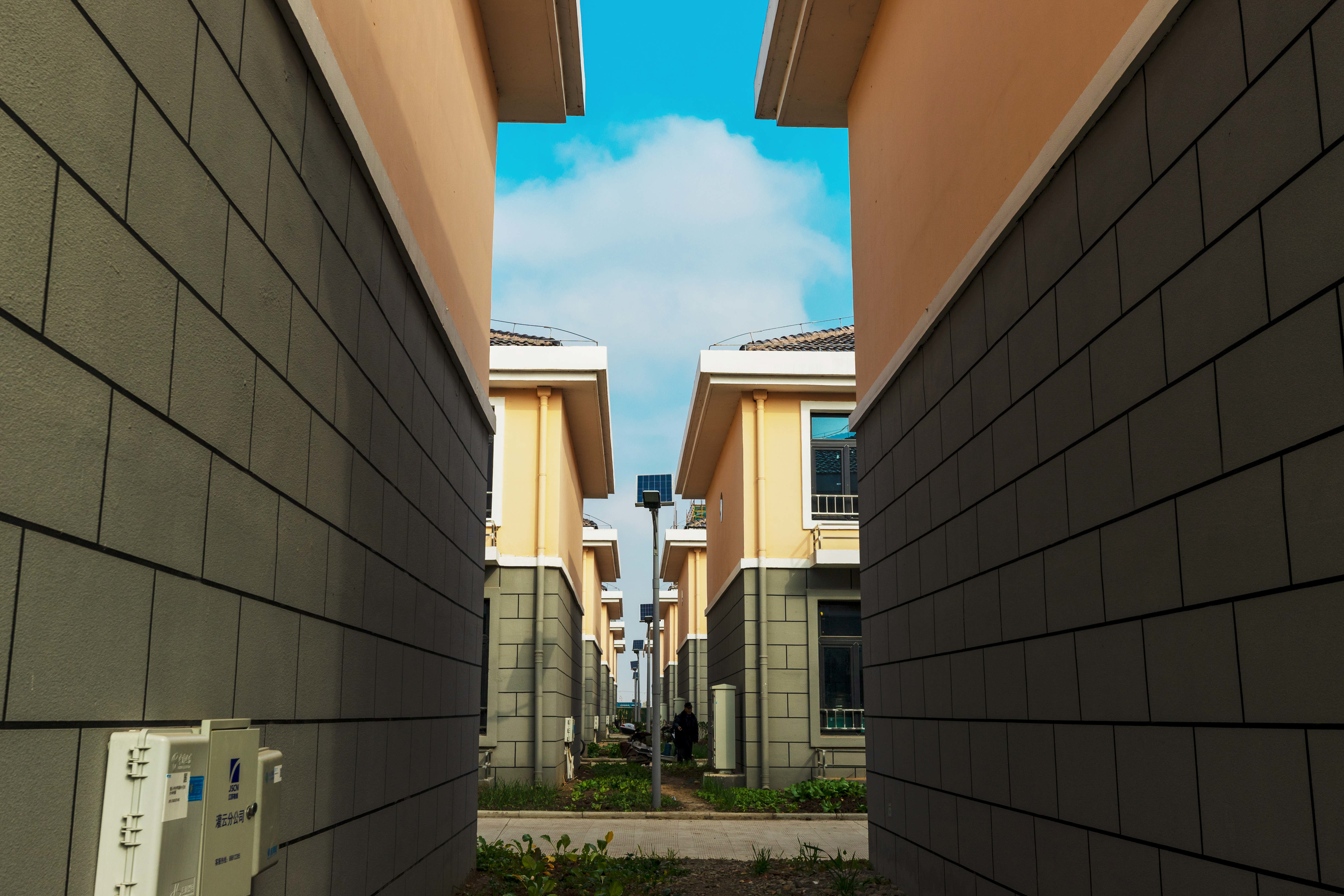 智慧路灯系统（实景）