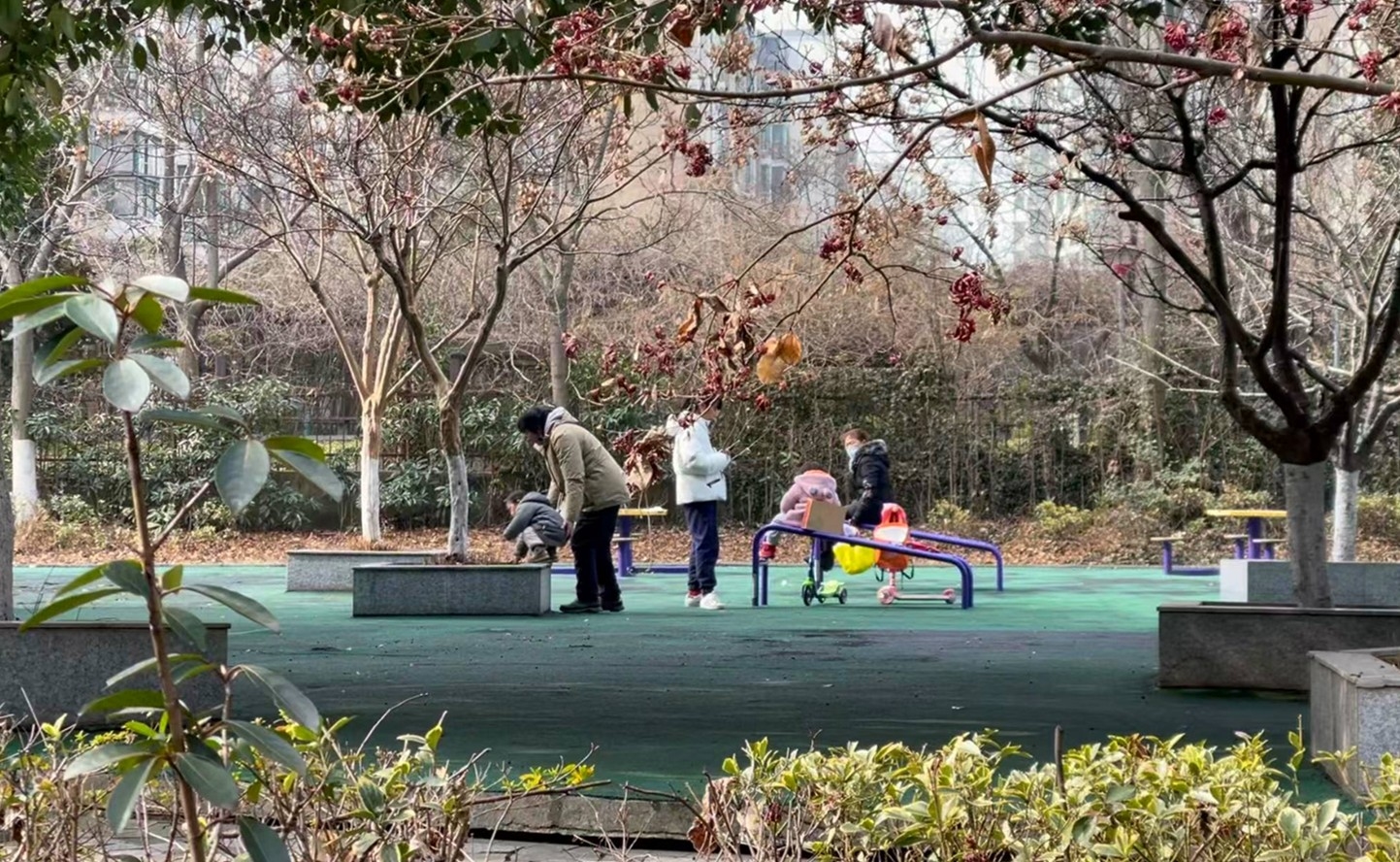 绿道与小区之间的游园。