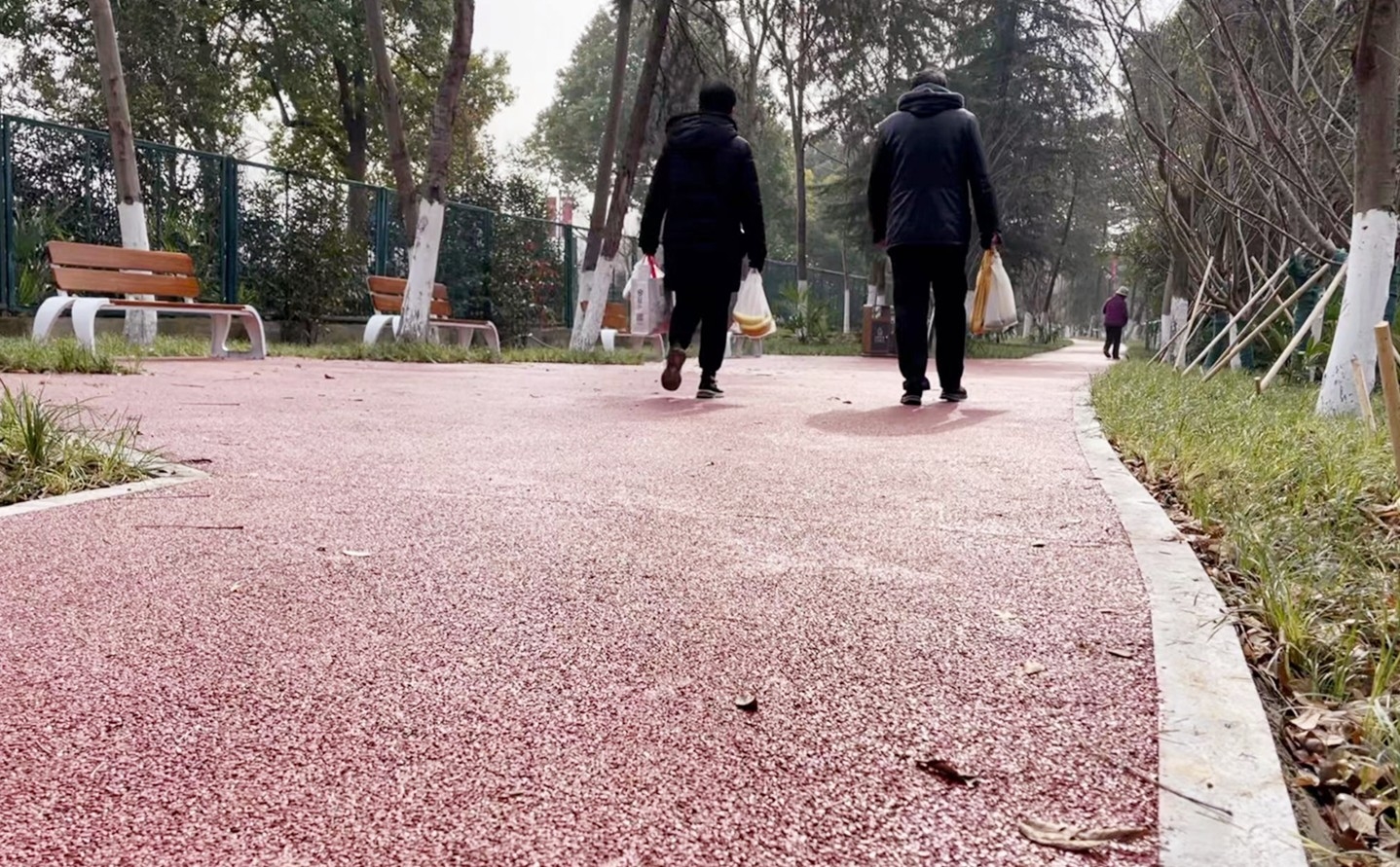 绿道边的座椅,让走累的人可以歇歇脚。