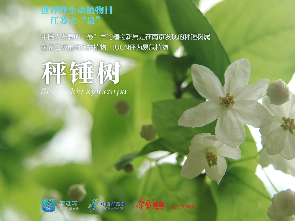 图源：江苏省生态环境厅
