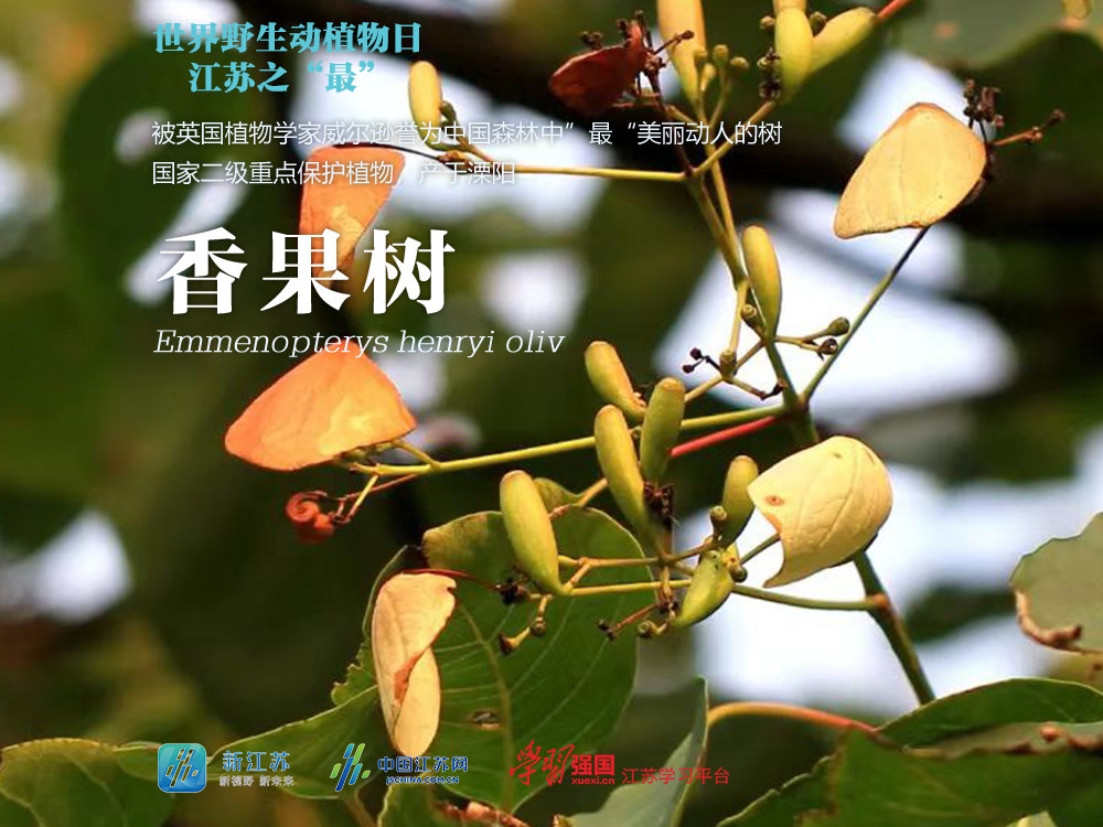 图源：江苏省生态环境厅