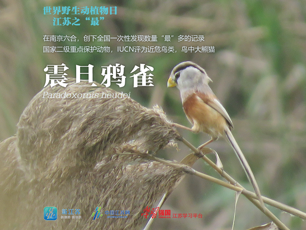 图源：江苏省生态环境厅