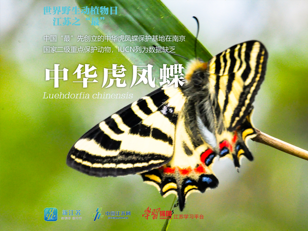 图源：江苏省生态环境厅