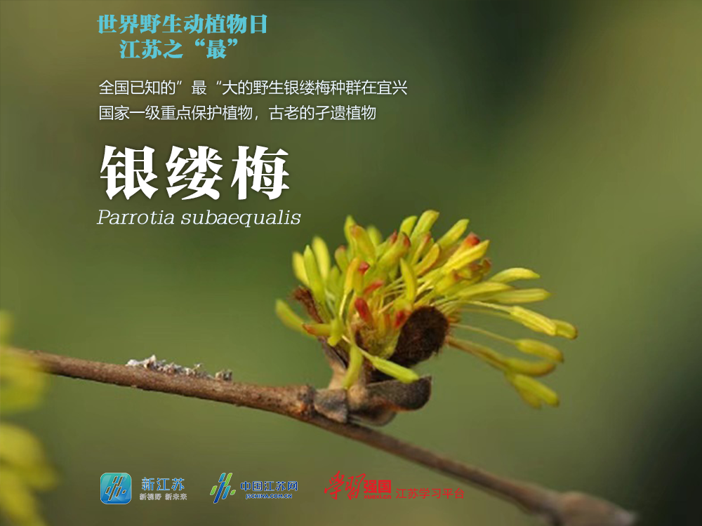 图源：江苏省生态环境厅