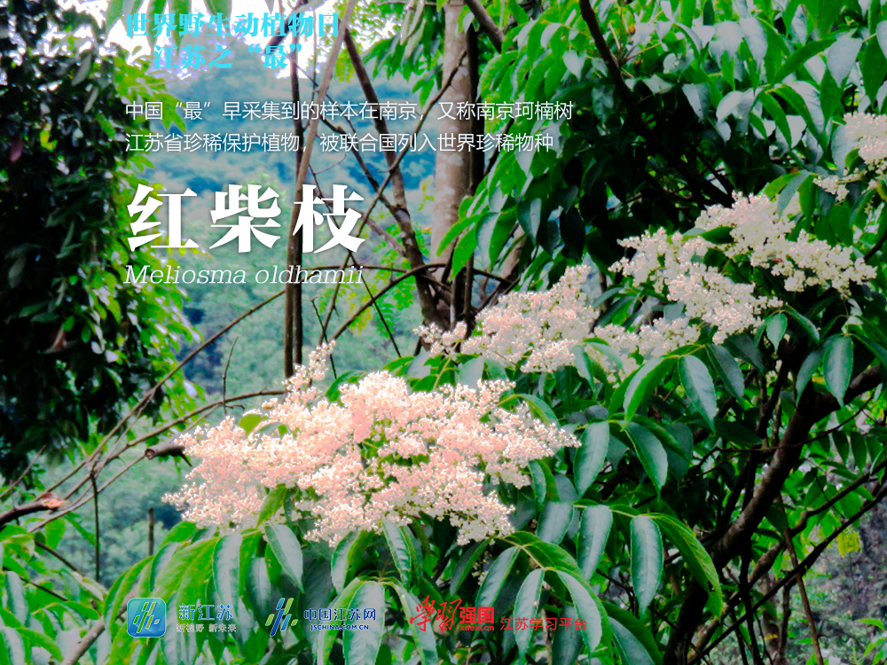 图源：江苏省生态环境厅