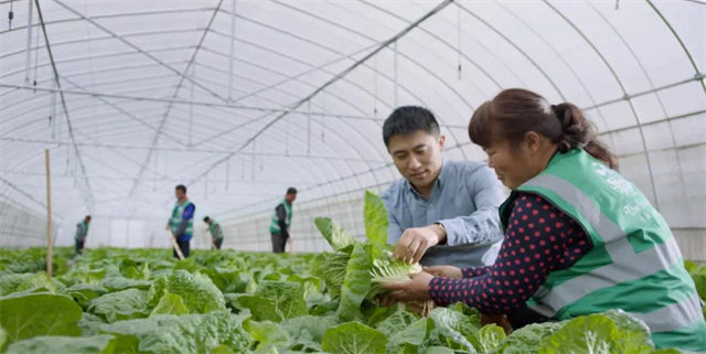 蔬菜分拣员蔡炳凤在工作岗位上