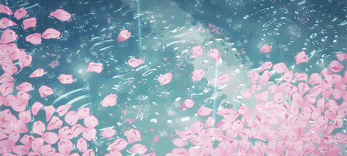 290253c2383bc34dce2c1bf8624d73b5.gif