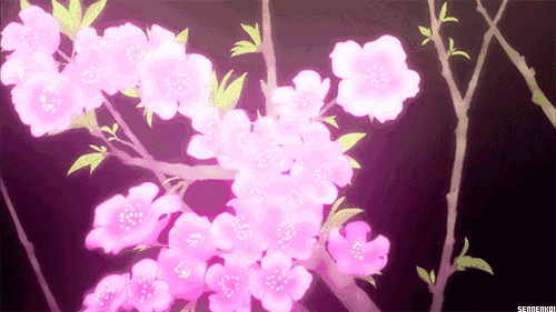 b3a6e72efa80e37eb003110d95a91040.gif