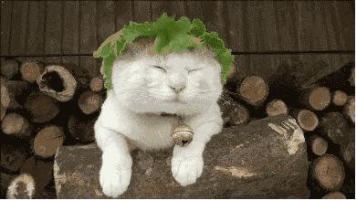 src=http___5b0988e595225.cdn.sohucs.com_images_20180411_8009c42f39bf4e5382a12dc946428b5a.gif&refer=http___5b0988e595225.cdn.sohucs.gif