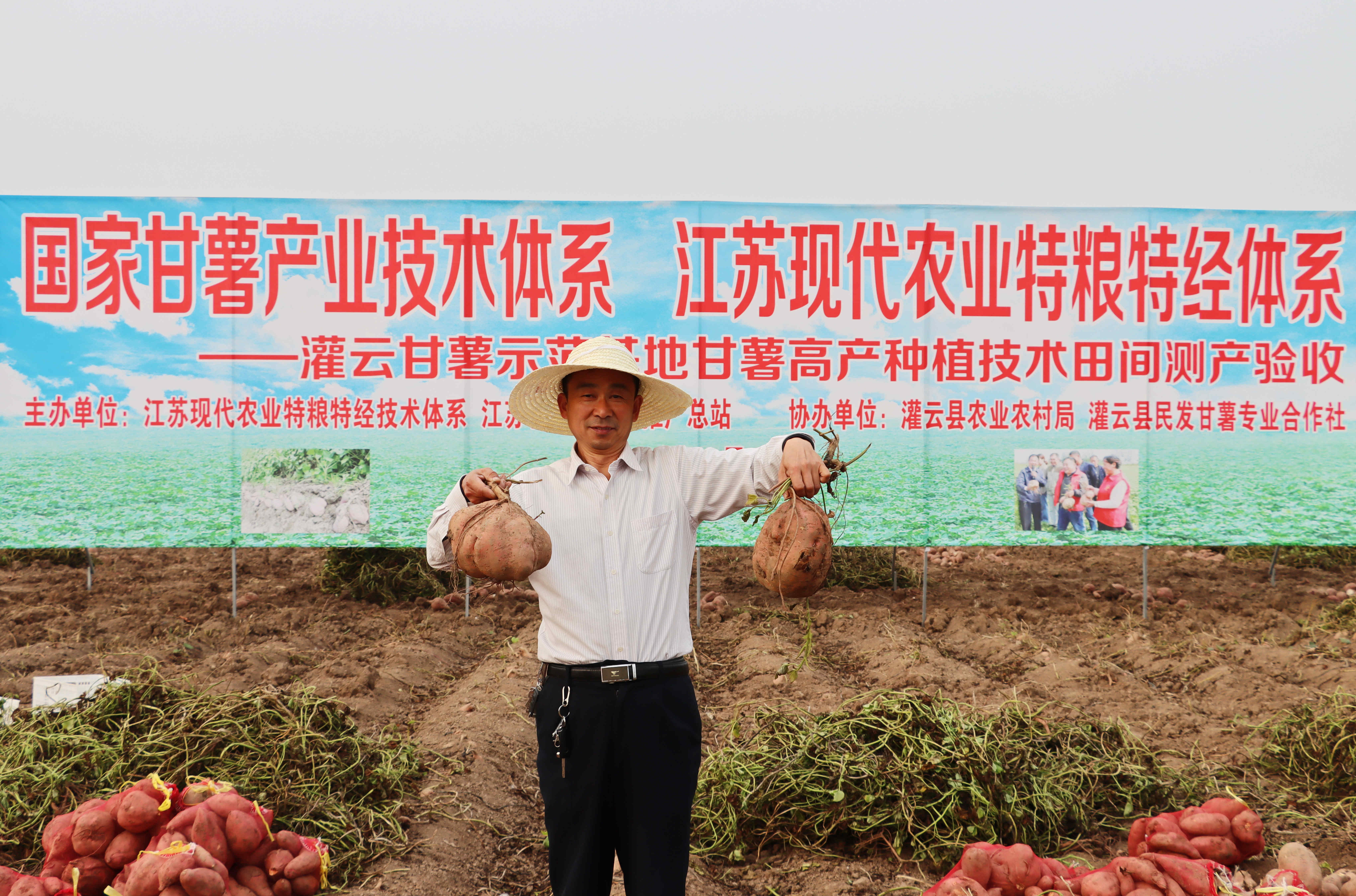 刘敏捷在2021年田间测产验收现场
