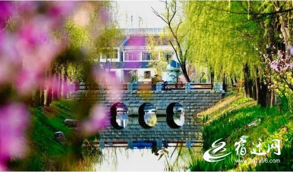 QQ截图20220521085828
