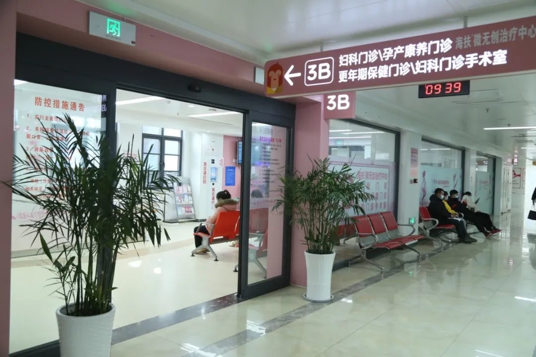 妇科2.JPG 图片