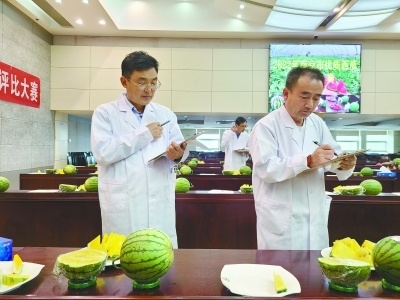 南京市首届优质西瓜评比大赛现场。记者 王丽华 摄