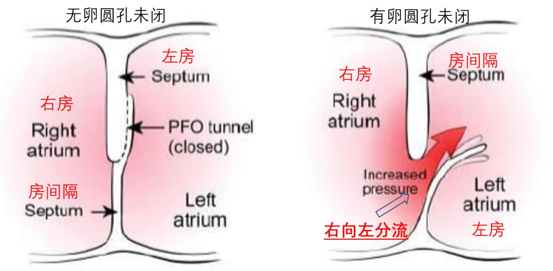 微信图片_20220614091215.png
